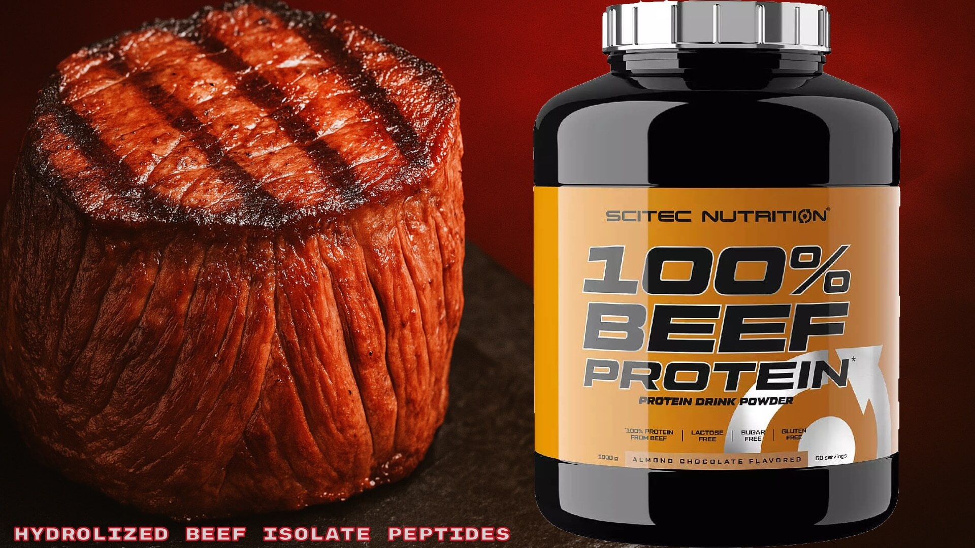bannière de la 100 pour cent hydrolized beef protein scitec -hydrolzed beef isolate peptide